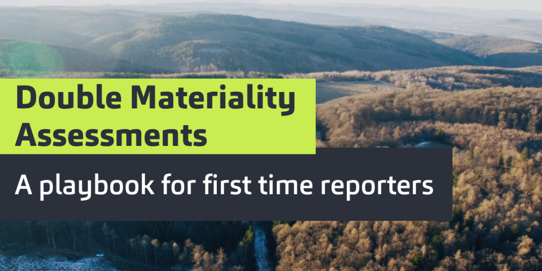 double materiality assessments
