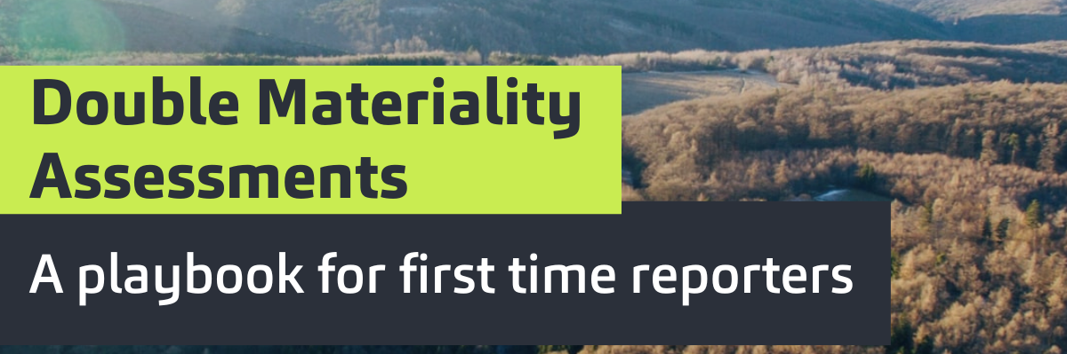 double materiality assessments