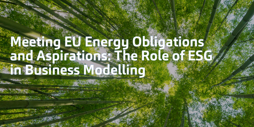 Meeting-EU-Energy-Obligations-and-Aspirations-The-Role-of-ESG-in-Business-Modelling