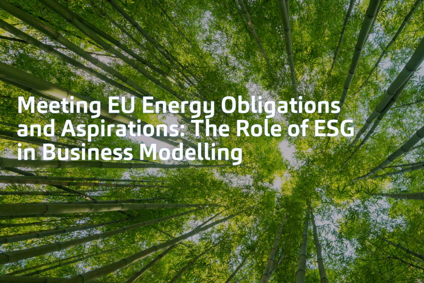 Meeting EU Energy Obligations and Aspirations The Role of ESG in Business Modelling Meeting-EU-Energy-Obligations-and-Aspirations-The-Role-of-ESG-in-Business-Modelling