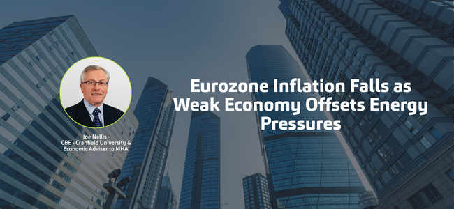 Eurozone Inflation Falls as Weak Economy Offsets Energy Pressures
